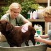 Bexdug Dog Shower Brush with Adjustable Grip view 2