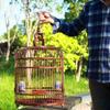Mahogany Bird Cage, Handmade Round Breeding Cage, Small view 4