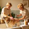 Dog Bath Brush with Adjustable Handle view 3