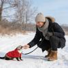 Ferret Hoodie for Small Pets view 2
