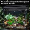YMTWSRY 4-Pack Aquarium Plants view 4