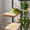 2-Pack Natural Wood Bird Perches with Swing for Cages view 2