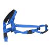 MasYosh Dog Collar view 4