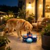 Slow-Feeder Dog Bowl with Rotating Multi-Level Lick Plate view 3