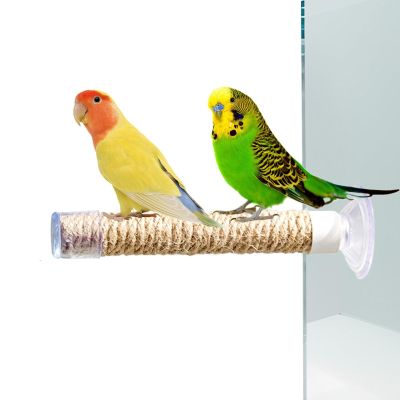 Bird Shower Perch | Safe Parrot Stand for Travel
