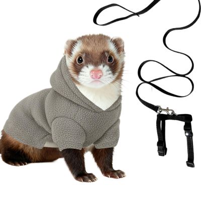 Ferret Hoodie | Ergonomic Comfortable Hoodie | Safe Collar for Ferret Clothing | Outdoor Walks with Hamsters, Chinchillas, Rabbits, Puppies, Kittens, and Bunnies