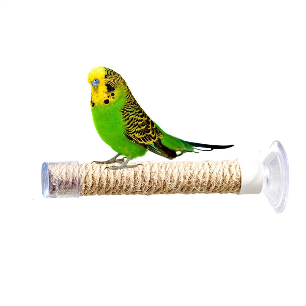 Suction Cup Bird Perch