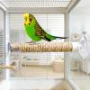 Suction Cup Bird Perch view 3