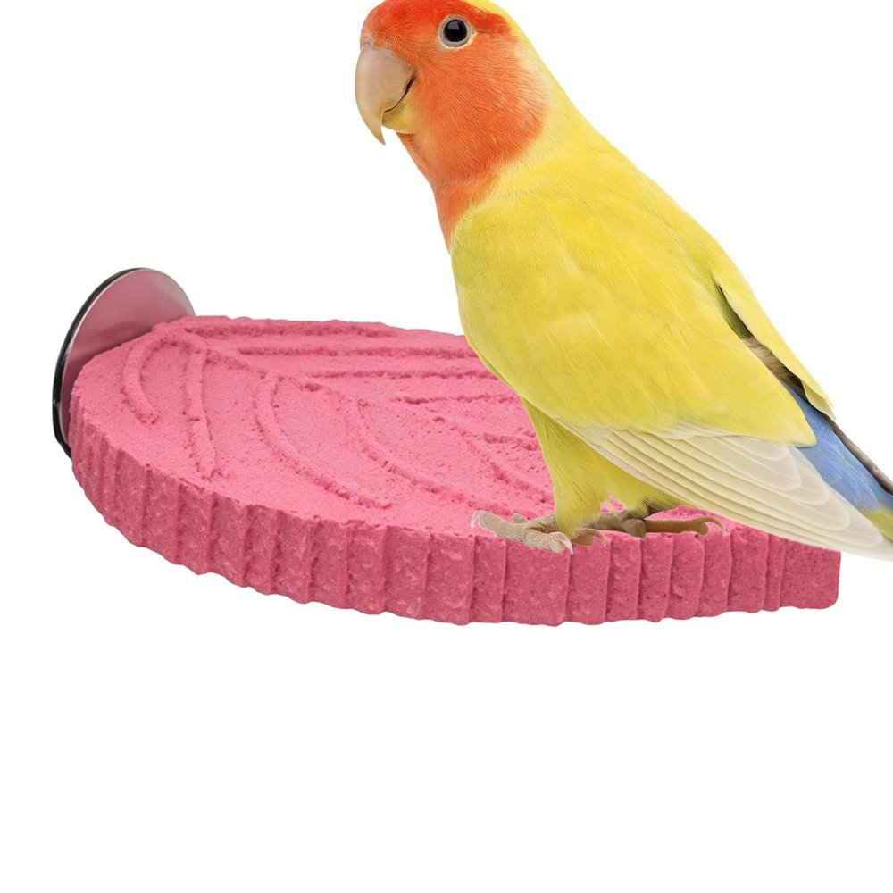 Cockatiel Resin Perch with Plant Design