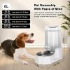 Sfozstra 7L White Dog Water Fountain – Stainless Steel, Stable view 2