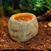 Reptile Water Bowl for Terrarium view 2
