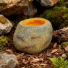 Reptile Water Bowl for Terrarium view 3