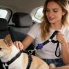 Adjustable Dog Car Harness view 3