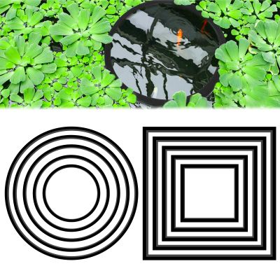 10 Floating Plant Rings for Aquariums