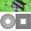 10 Floating Plant Rings for Aquariums view 1