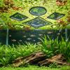 10 Floating Plant Rings for Aquariums view 4