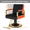 Dalumian Hydraulic Salon Styling Chair for Hair Braiding, Adjustable Height 83–93 cm view 3