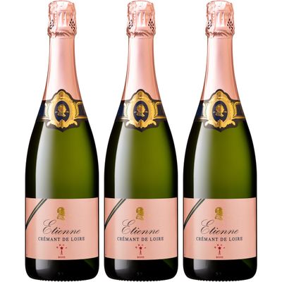 Bouvet Ladubay Crémant de Loire Brut Rosé Excellence Magnum Sparkling Wine, France incl. FineWert E-Book (3 x 1.5 L)
