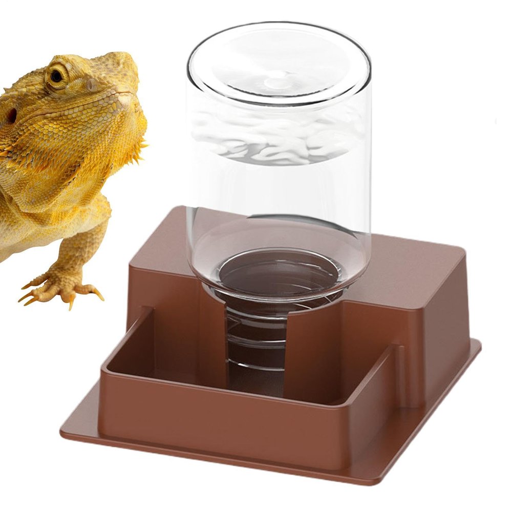 Bearded Dragon Water Bowl