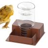 Bearded Dragon Water Bowl view 1