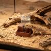 Automatic Reptile Water Dispenser view 2
