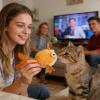 Generic Cat Catnip Chew Stick Fun Pet Toy view 2