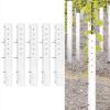 Tree Tubes for Seedling Protection, 5-Piece Ventilated Set view 4