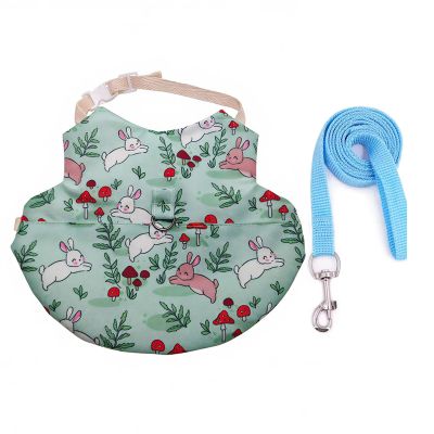 CAZSTYK Rabbit Harness and Leash Set