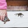 VALICLUD Reptile Heating Pad view 4