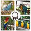 VILLCASE Grass Bird Swing, 1 Set with Climbing Ring and Decorative Toy for Parrots and Budgies view 3