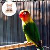 VALICLUD Reusable Stainless Steel Bird Bowls with Wood for Cages view 4