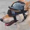 Hrtyvhin Impact-Resistant Dog Helmet and Sunglasses Set for Cycling and Hiking view 3