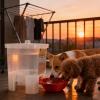 Automatic Cat Water Fountain, 2 L, Quiet Design view 4