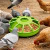 Chicken Food Dispenser, Spill Proof Large Capacity view 2