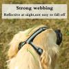 Breathable Adjustable Dog Muzzle, No. 2, Black Nylon Tape view 4