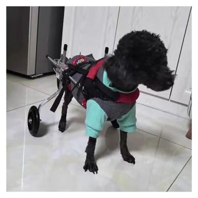 Adjustable Supportive Dog Wheelchair with Harness, Lightweight, Red, XS
