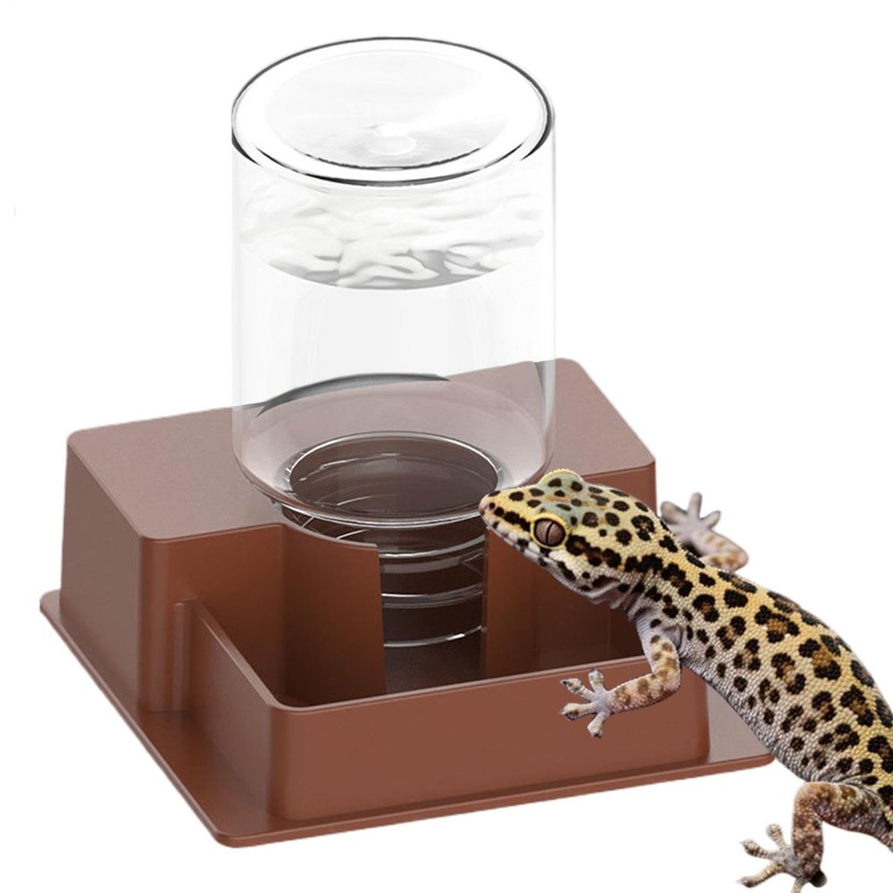 Bearded Dragon Water Bowl - Self Dispensing Fountain