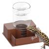 Bearded Dragon Water Bowl - Self Dispensing Fountain view 1