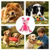 Interactive Dog Toys - Squeaky Comfort for Small Dogs view 4