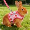 BAOFUYA Rabbit Harness and Leash Set, Lightweight Small Pet Vest for Guinea Pigs and Ferrets, Outdoor Use (M) view 3