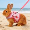 BAOFUYA Rabbit Harness and Leash Set, Lightweight Small Pet Vest for Guinea Pigs and Ferrets, Outdoor Use (M) view 4