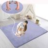 Zteiuqx 2 cm Thick Baby Play Mat, Memory Foam Crawling Rug, Non-Slip, 100 x 250 cm view 2