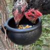 2-Pack Rubber Chicken Feeding Bowls with Hanging Design view 2