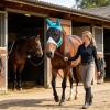 Horse Fly Mask with Breathable Mesh and UV Protection view 2