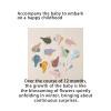 Baby Monthly Milestone Cards with Numbers and Letters, 12 Months view 2