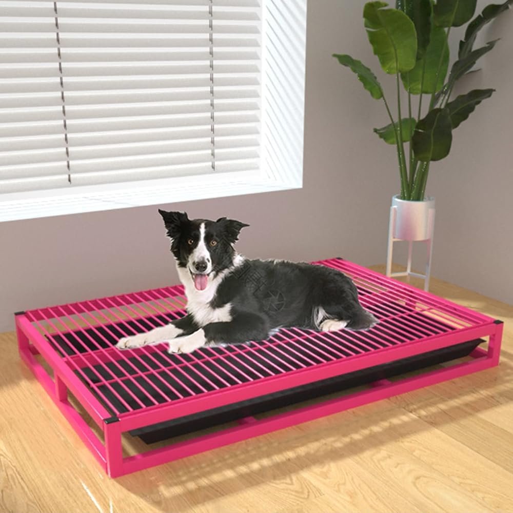 Dog Training Tray, Portable Metal Holder for Indoor and Outdoor