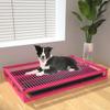Dog Training Tray, Portable Metal Holder for Indoor and Outdoor view 1