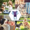 Squeaky Dog Toy - Plush Animal Shape view 4