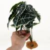 Alipis Artificial Green Plant for Reptile Terrariums view 4