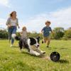 Dog Treat Ball - Interactive Rubber Toy view 3